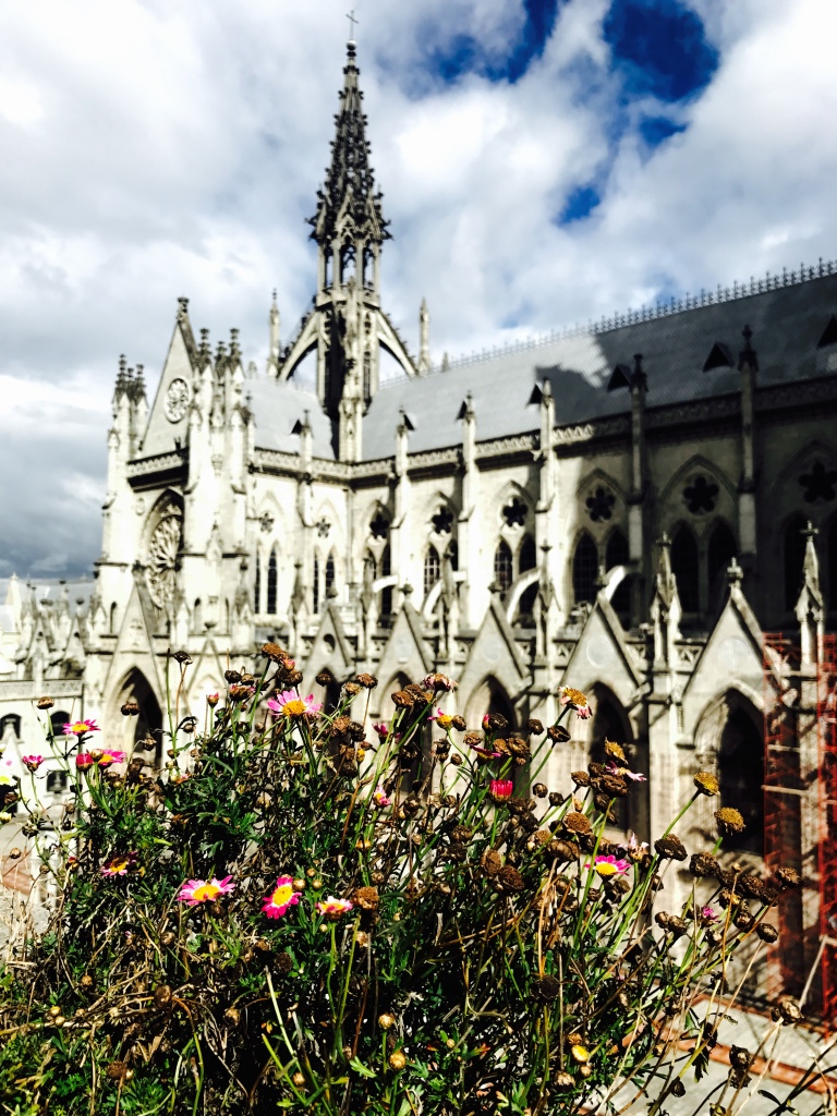 Beneath the Borealis 5 Things to Expect When You're Expecting Basilica del Voto Quito Ecuador