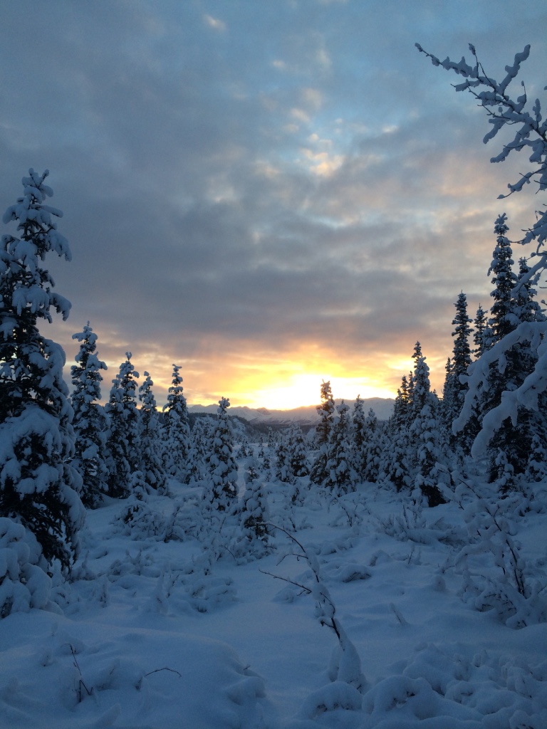 Beneath the Borealis 09-24-18 100 Winter in Alaska
