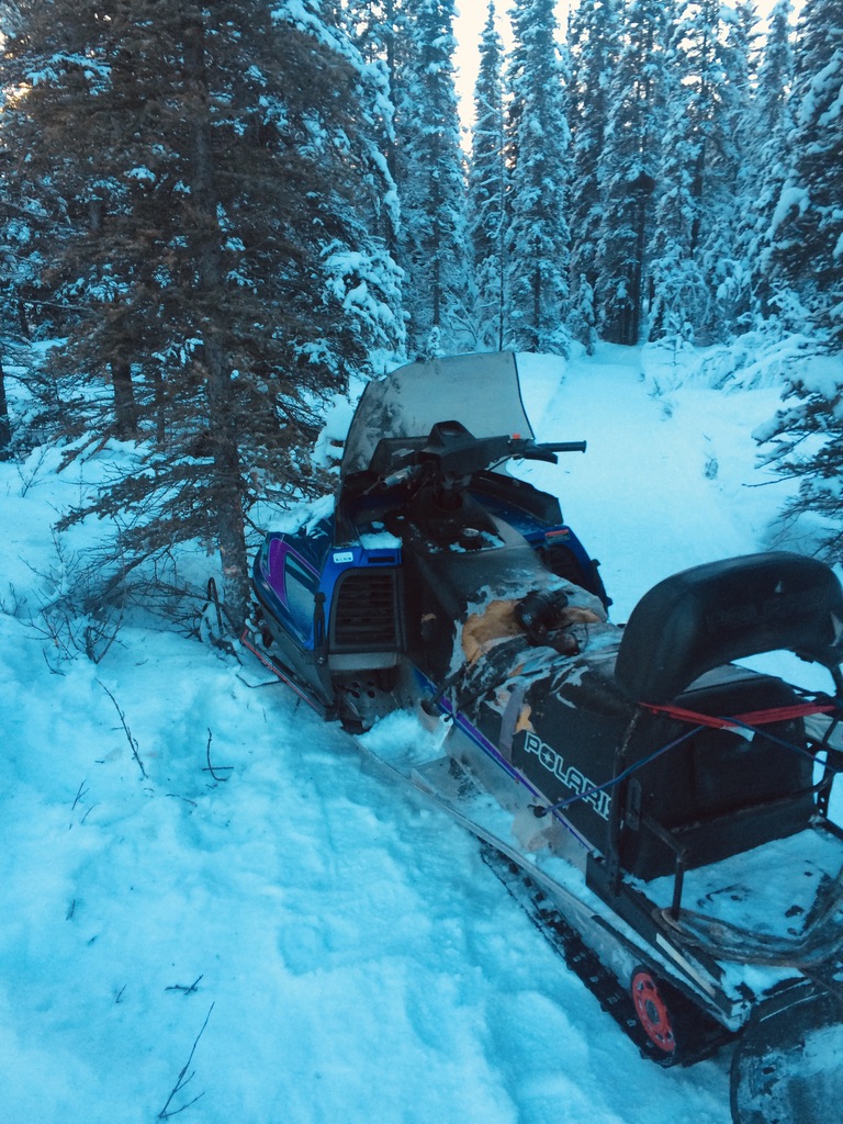Alaska snowmachine